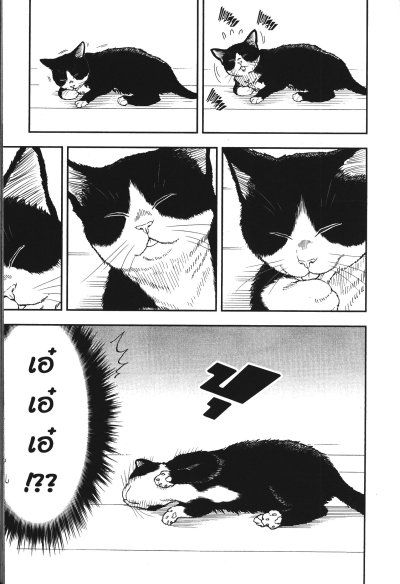 เมื่อคุณเกมเมอร์เผลอใจเป็นทาสแมว เล่ม 1-8 (จบ)
