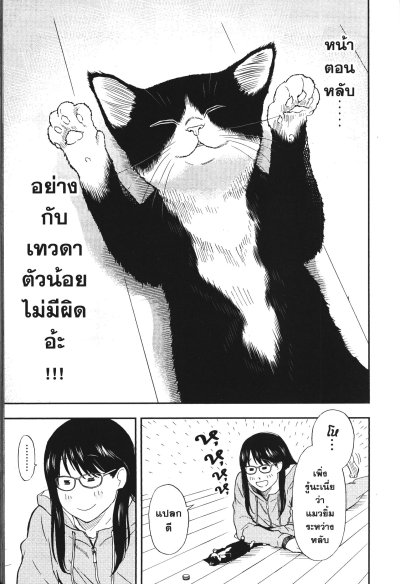 เมื่อคุณเกมเมอร์เผลอใจเป็นทาสแมว เล่ม 1-8 (จบ)