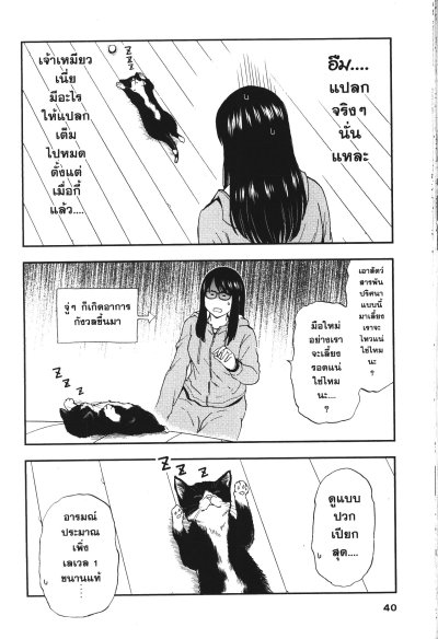 เมื่อคุณเกมเมอร์เผลอใจเป็นทาสแมว เล่ม 1-8 (จบ)