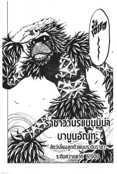 Toriko โทริโกะ นักล่าอาหาร (จบ) + เล่มพิเศษ PDF