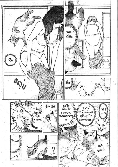 แก๊งค์เหมียวจอมป่วน (จบ) PDF