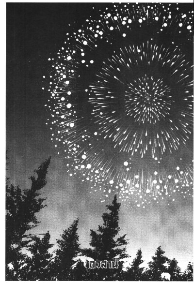 เปลวฟ้าผ่าปฐพี (จบ) PDF