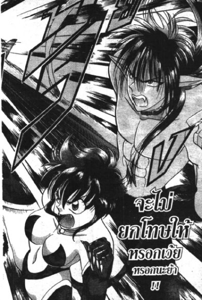 Wildhalf 1-17 (จบ) PDF