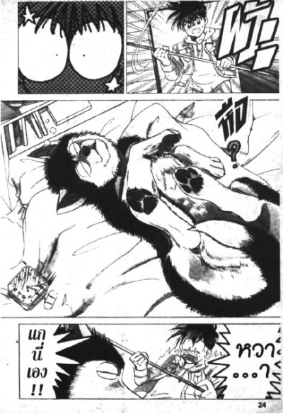 Wildhalf 1-17 (จบ) PDF