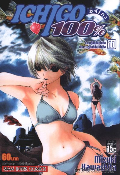 ICHIGO อิจิโกะ 100% เล่ม 1-19 (จบ)