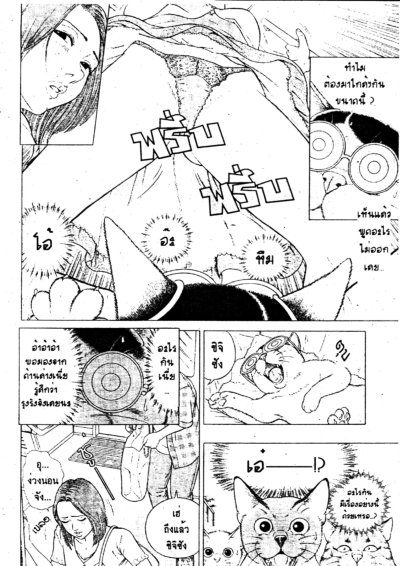 แก๊งค์เหมียวจอมป่วน (จบ) PDF