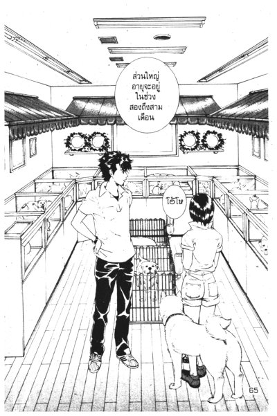 Inubaka เพื่อนซน4ขา กับสาวหน้าใส (จบ) PDF