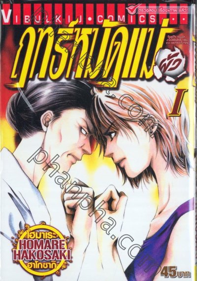 ฤทธิ์หมัดแม่ผัว ภาค 1 (จบ) PDF