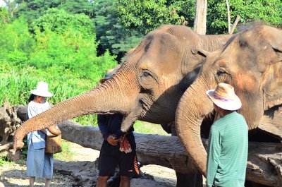 Mahout Training Tour