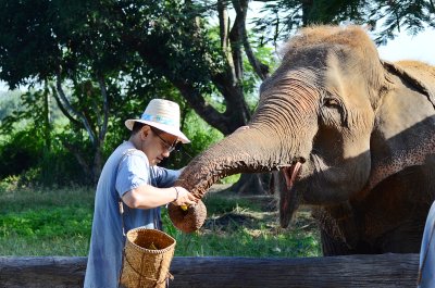 Ethnic Elephant Sanctuary and Sticky Waterfall