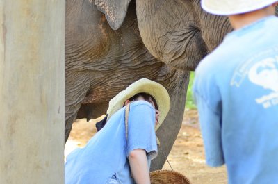 Mahout Training Tour