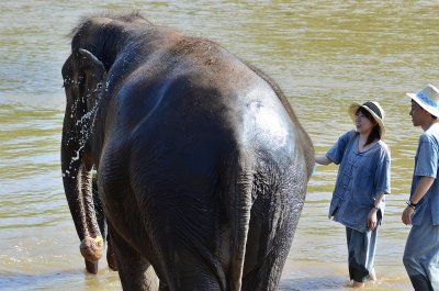 Mahout Training Tour