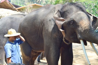 Mahout Training Tour