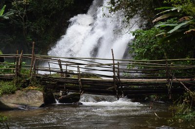 Mount Doi Inthanon Hiking & Bird Watching