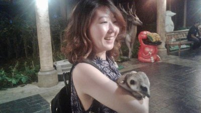 Night Safari Transfer & Ticket