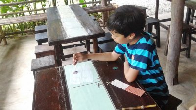 Elephant PooPoo Paper Park & Sticky Waterfall