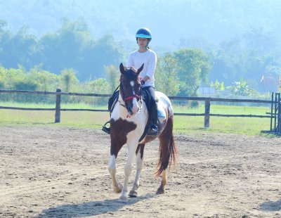 Horse Lesson and riding plus Wooden Temple
