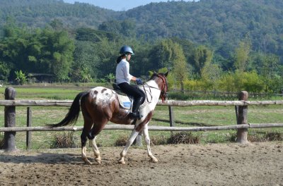 Horse Lesson and riding plus Wooden Temple