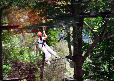 Tiger Kingdom & Snake Farm Daily Transfer