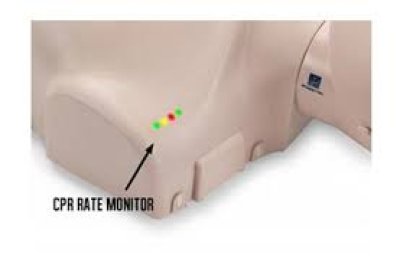 เช่าหุ่น CPR ผู้ใหญ่ PRESTAN100M สำหรับอบรม BLS | JIACPR