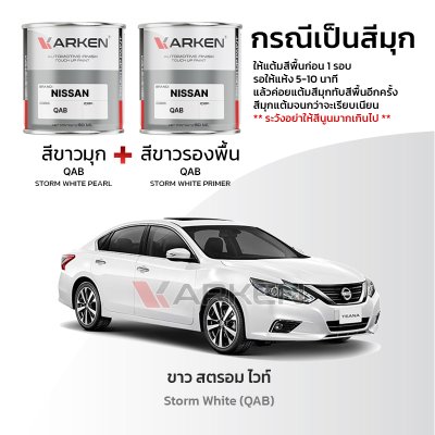 KARKEN 2K Touch-Up Paint for Nissan Teana | Easy Application, Fast Drying, Professional Finish
