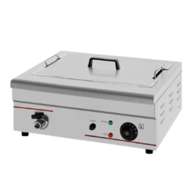 Electric Deep Fryer