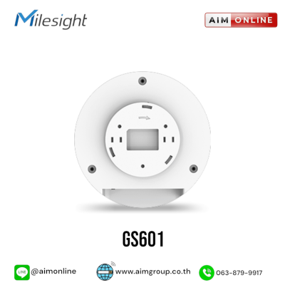 Milesight รุ่น GS601