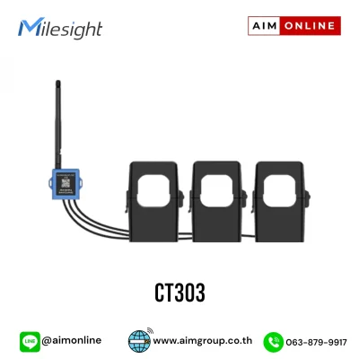 CT303