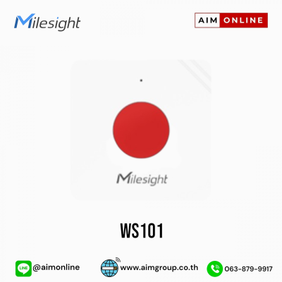 WS101