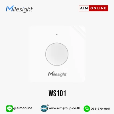 WS101