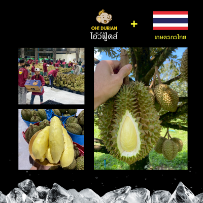 Monthong Durian Frozen ทุเรียนหมอนทองแช่แข็ง 1,000 g. พรีเมี่ยม