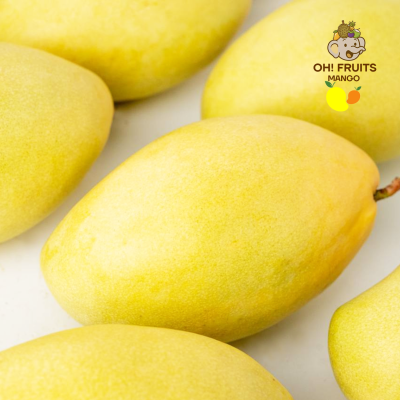 Mango มะม่วงแก้วขมิ้นไทย