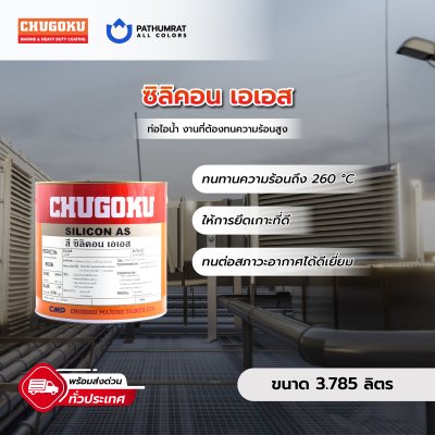 ซิลิคอน เอเอส / Silicon AS