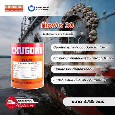 ทีเอฟเอ 30 / TFA 30