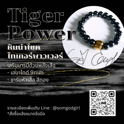 Tiger Power หินนำโชคไทเกอร์พาวเวอร์
