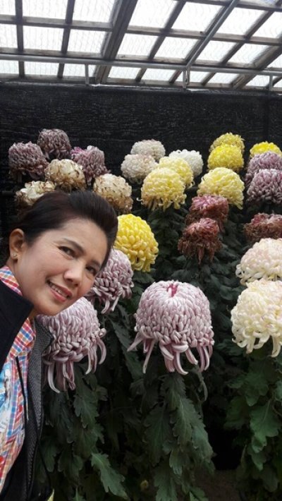 ทัวร์ญี่ปุ่น กรุ๊ปคุณเนตรนภา_2
