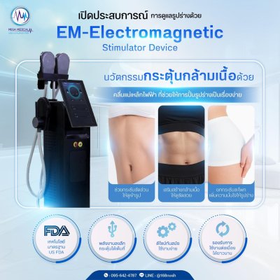 EM Electromagnetic Stimulator