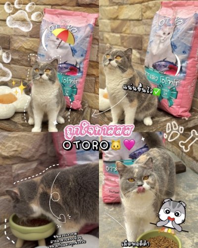 อาหารแมว OTORO รสปลาทูน่า น้ำหนัก 7 กิโลกรัม