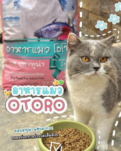 อาหารแมว OTORO รสปลาทูน่า น้ำหนัก 7 กิโลกรัม