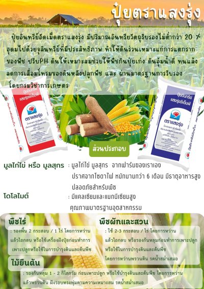 แสงรุ่งพีเอ็มพี ชนิดผง