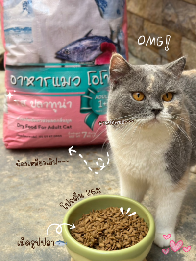 อาหารแมว OTORO รสปลาทูน่า น้ำหนัก 7 กิโลกรัม