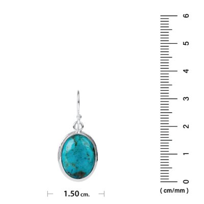 Sterling Silver Turquoise Earrings
