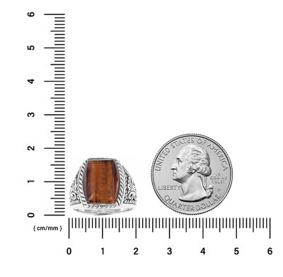 Sterling Silver Tiger's eye Men's Ring