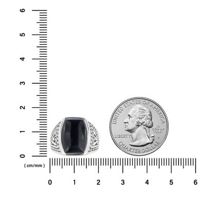 Sterling Silver Onyx Men's Ring