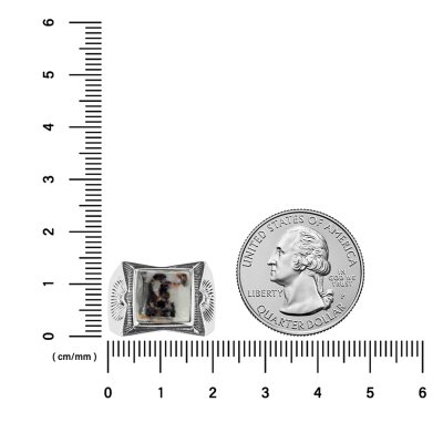 Sterling Silver Zebra Jasper Men's Ring