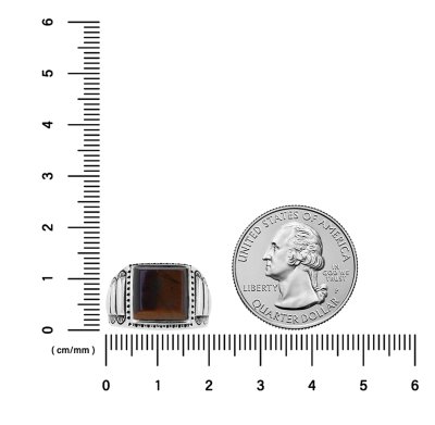 Sterling Silver Tiger's Eyes Men's Ring