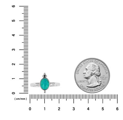 Sterling Silver Turquoise Ring