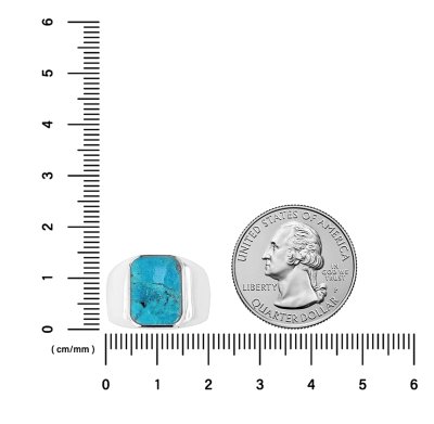 Sterling Silver Turquoise Men's Ring