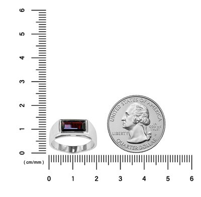 Sterling Silver Garnet Signet Ring