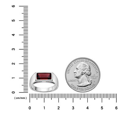Sterling Silver Garnet Signet Ring